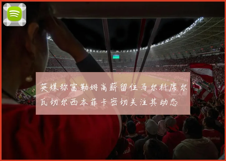 英媒称富勒姆高薪留住马尔科席尔瓦切尔西本菲卡密切关注其动态