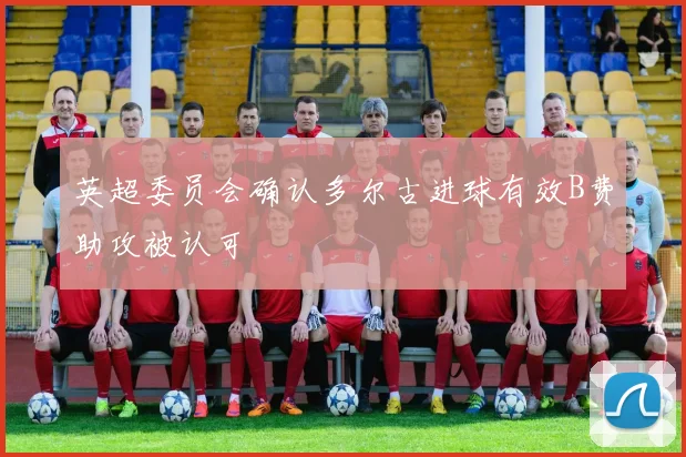 英超委员会确认多尔古进球有效B费助攻被认可